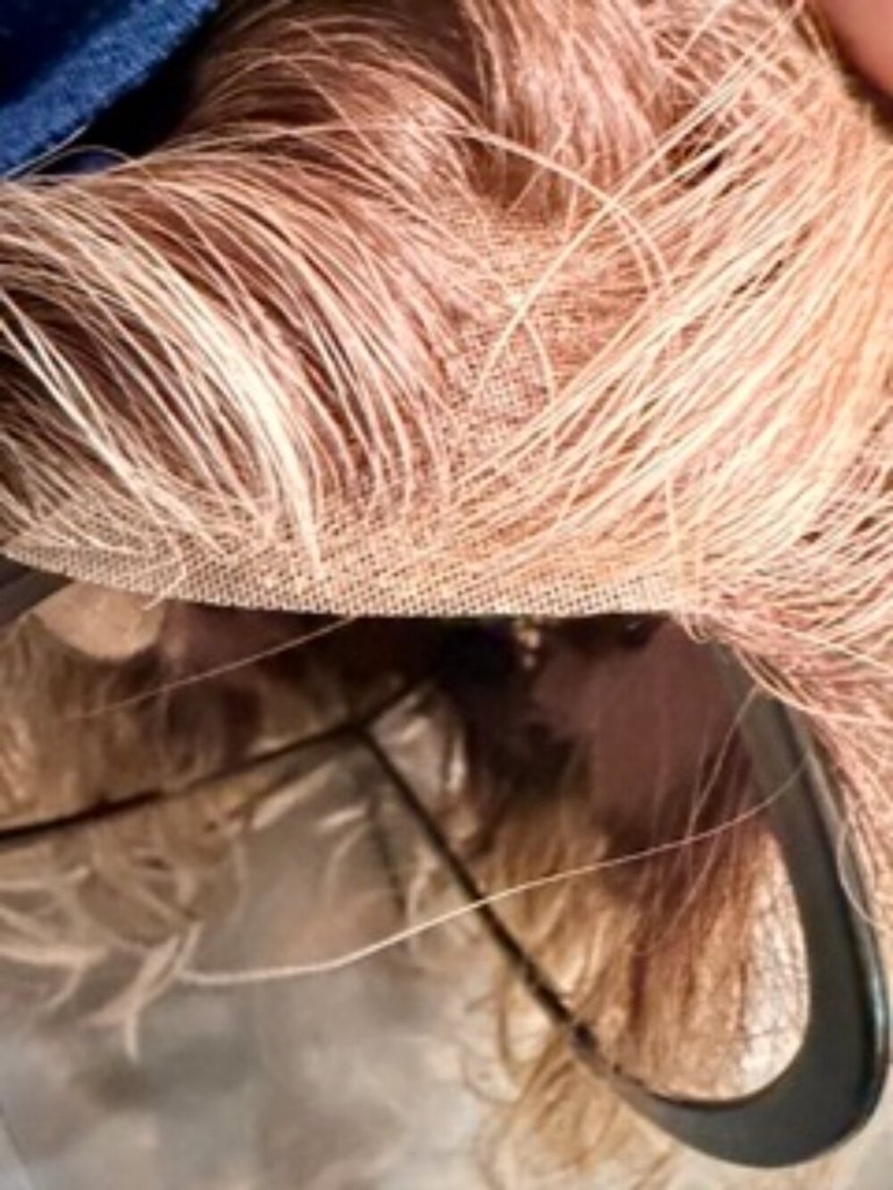 Belle Tress Wigs- Califia - Picture 4 of 5